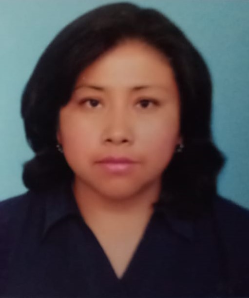 ing. sandra monasterios yapu