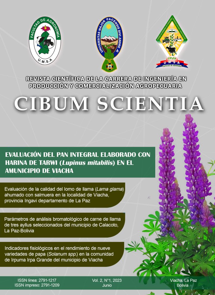 portada publicada baja calidad