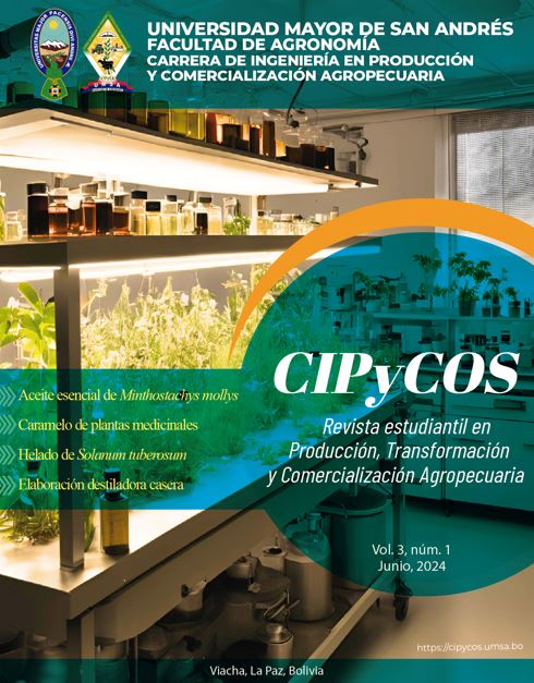 cover issue 5 es es